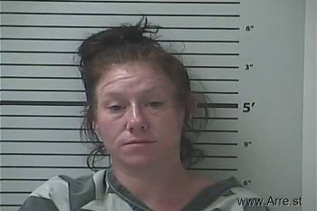 Ashley Marie Parker Mugshot