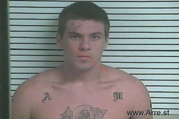 Austin  Mitchell Mugshot