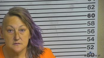 Amanda Leigh Barnes Mugshot