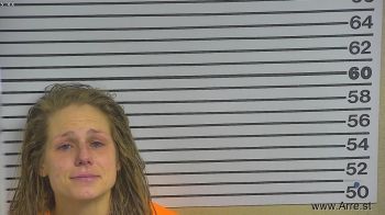 Amanda  Mason Mugshot