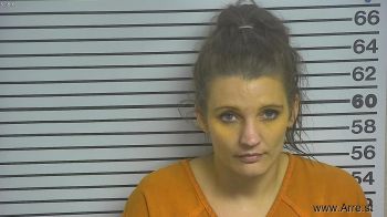 Amy Brooke Cobb Mugshot