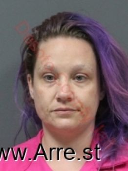 Ashley Danee King Mugshot