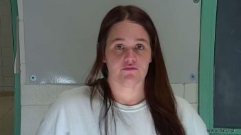 Ashley Brooke Pierce Mugshot