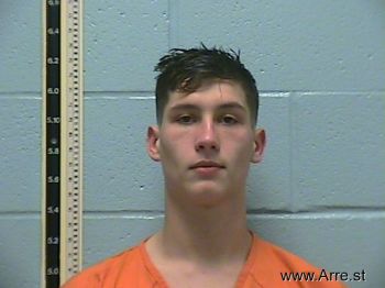 Austin Joseph Hanson Mugshot