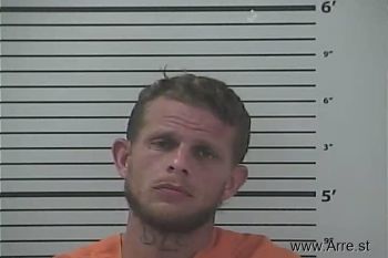 Brandon Felix Hartman Mugshot