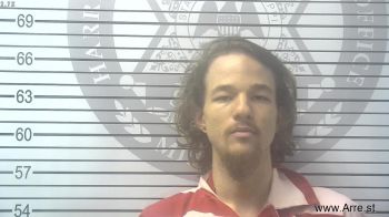 Brett Nathen Lewis Mugshot