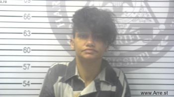 Brittany Dawn Adams Mugshot