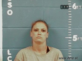 Brandy Lynn Mayberry Mugshot