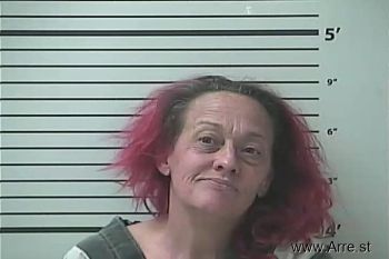 Christal Lynn Cook Mugshot