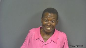 Christina Delores James Mugshot