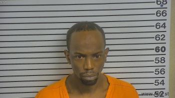 Catlin Tyree Holmes Mugshot