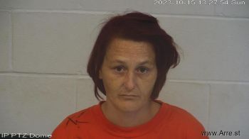 Christina Renee Whitehead Mugshot