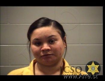 Dana Marie Nelson Mugshot