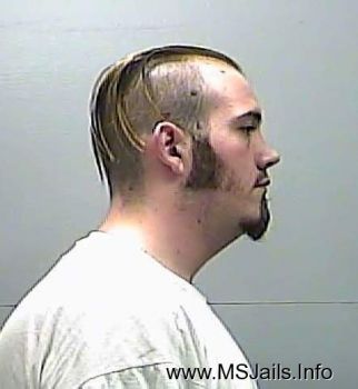 David L Payne Mugshot