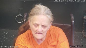 Debra Lynn Capps Mugshot