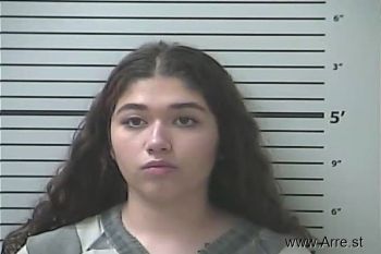 Gabriella Elaine Hernandez Mugshot