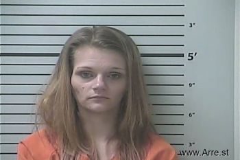 Heather Michele Murphy Mugshot