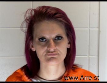 Heather Michelle Nettles Mugshot