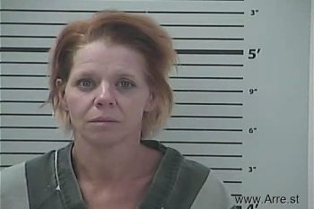 Jamie Christine Lee Mugshot