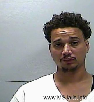 Jermaine P Berghuis Mugshot