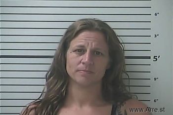 Jessica Rose Lee Mugshot