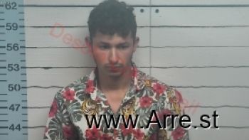 Jose Arnaldo Perez-arita Mugshot