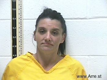 Julie Ann Lonadier Mugshot