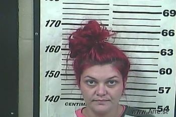 Kara Dorianne Mcvay Mugshot