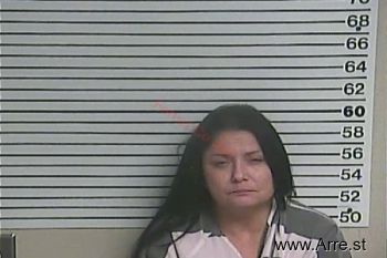 Karen Renee Lee Mugshot