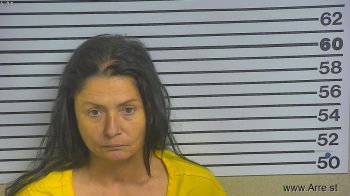 Karen Renee Lee Mugshot