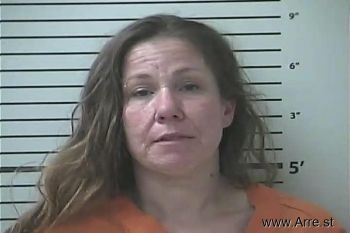 Kelly Lynn Davis Mugshot