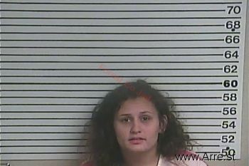 Lauren Ashley Johnson Mugshot