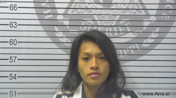 Linda Ngoc Nguyen Mugshot