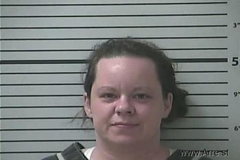 Lindsey Michelle Johnson Mugshot