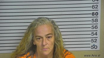 Lisa  Clark Mugshot