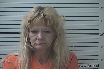 Lori Ann Collins Mugshot