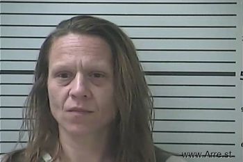 Lindsey Marie Hogsten Mugshot