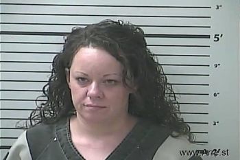 Lindsey Michelle Johnson Mugshot