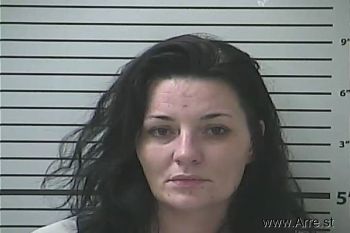 Lisa Ashley Vinson Mugshot