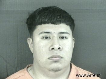 Luis Enrique Ibarra-martinez Mugshot