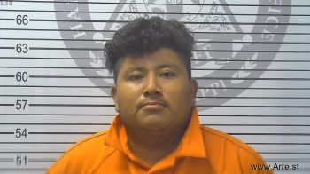 Mario Edilzar Gonzalez-gomez Mugshot