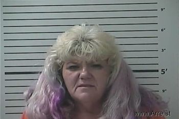 Mary Beth Wilkins Mugshot