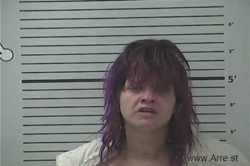 Michelle Lee Argabright Mugshot