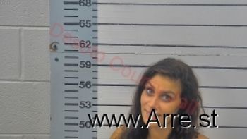 Mary Elizabeth Johnson Mugshot