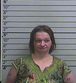 Melissa Ann Hulsey Mugshot