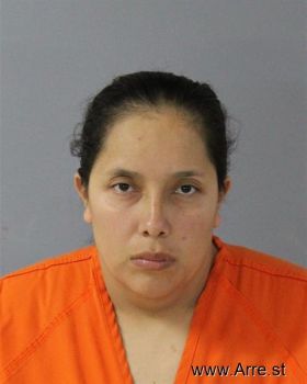 Meyling Elieth Betancourth-urbina Mugshot