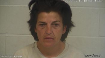 Michelle Marie King Mugshot