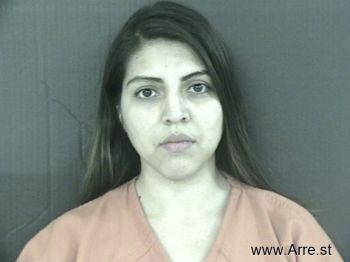 Nancy  Ramirez-delgado Mugshot