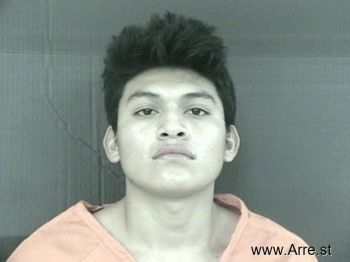 Nelson Wilfredo Perez-campos Mugshot