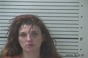 Pamela Shea White Mugshot